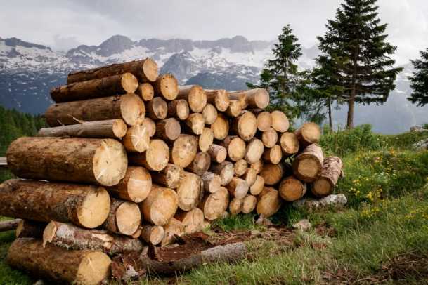 How to cut short logs on a portable sawmill