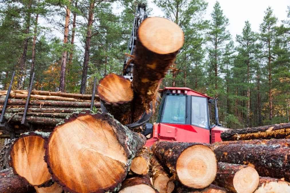 How to turn a log into lumber by hand to